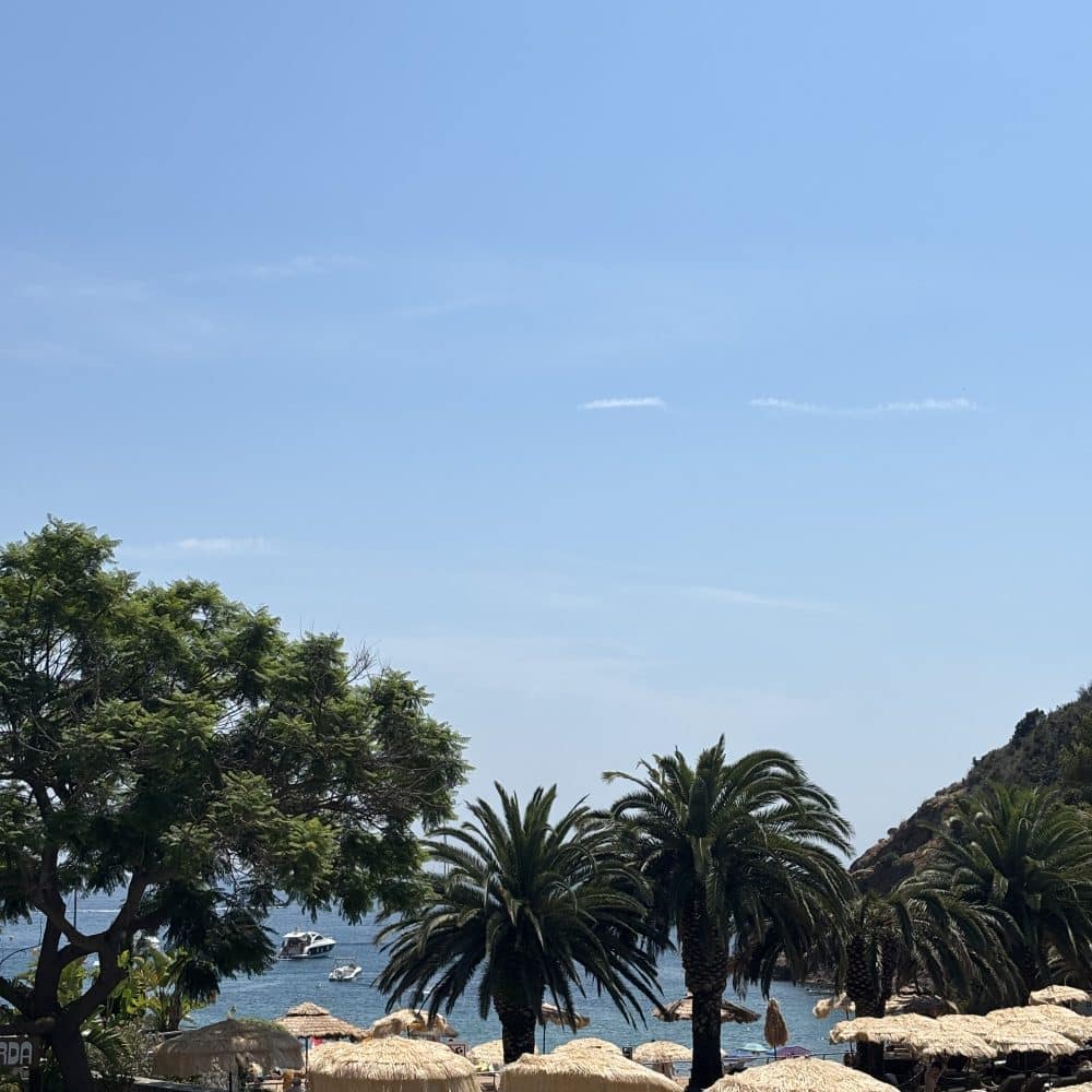 Formation d'animateur en camping : Des places disponibles pour l’été 2026🌴 IMG 4738 - Happy Resort